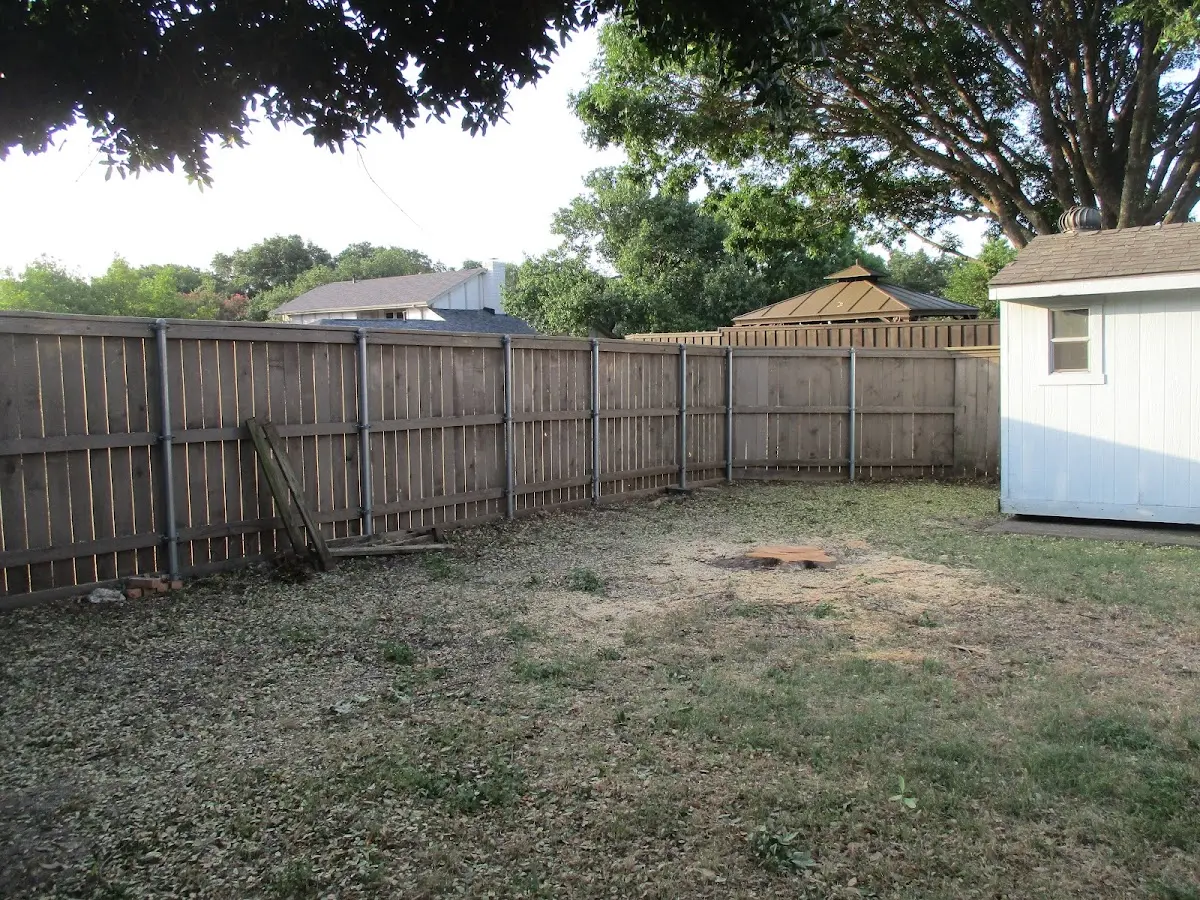 Cleared yard after professional tree removal in Briggsville
