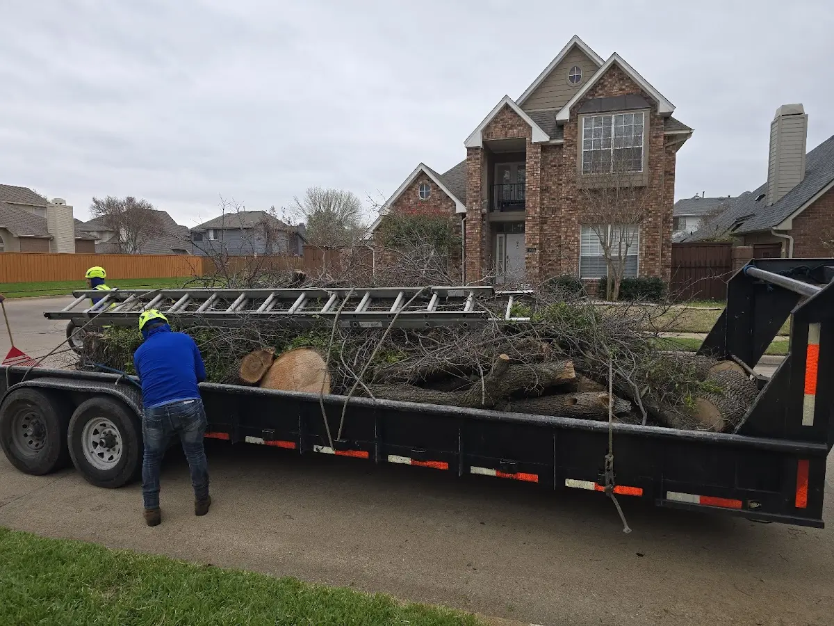 Expert Lot Clearing with proper safety equipment in Briggsville